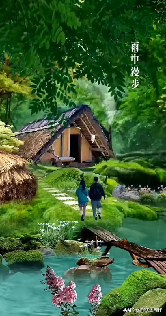 选蔚小理?看这一篇就够了!