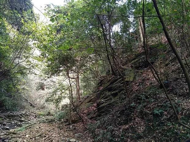 大行评级｜大摩：上调赫兹评级至“增持” 近期战略行动有助于降低长期风险