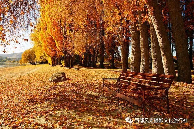 熊出没百层大冒险
