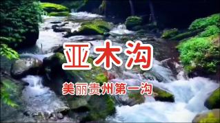 双人跨栏赛跑