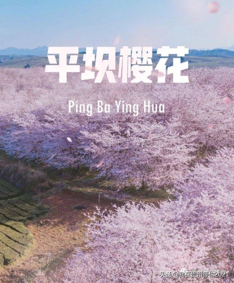 【盘前三分钟】1月26日ETF早知道