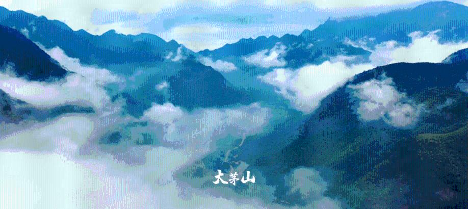 摇滚乐团的装扮