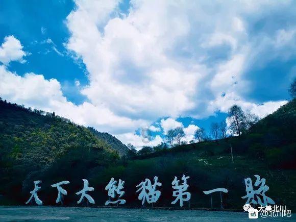 小时代官方游戏