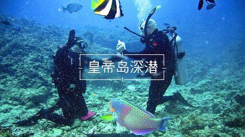 影视工厂