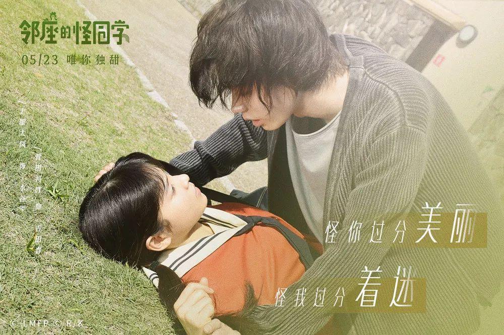 小猫钓鱼正版下载中文版
