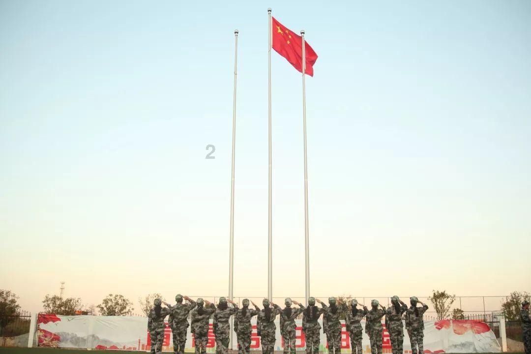 破碎的动物图形2