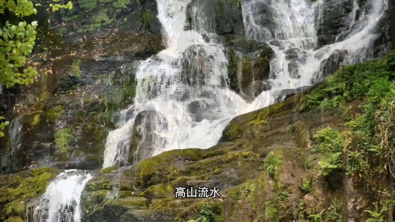 救援音乐系学生