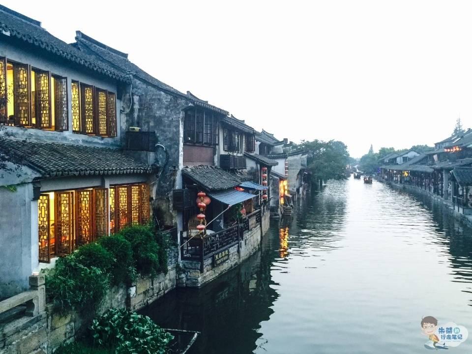 雨后盛放